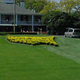 Illustration for article titled CBS Is Taking Augusta By Storm